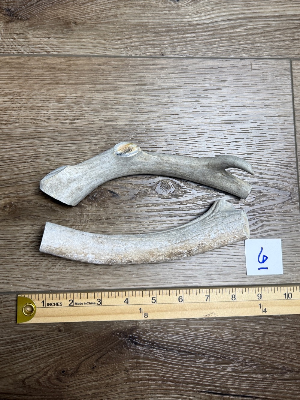 Natural Deer Antler Dog Chews – Mixed Sika, Fallow or Whitetail
